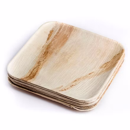 Areca Leaf Plates-2