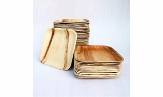 Areca Leaf Plates