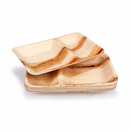 Areca Leaf Plates-3
