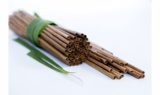 Coconut Leaf Straw