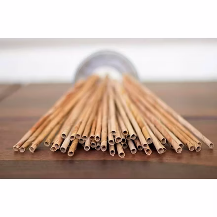 Coconut Leaf Straw-1