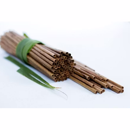 Coconut Leaf Straw-3