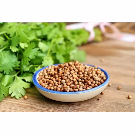 Coriander seeds-2