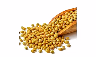 Coriander seeds