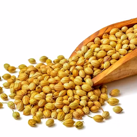 Coriander seeds-1