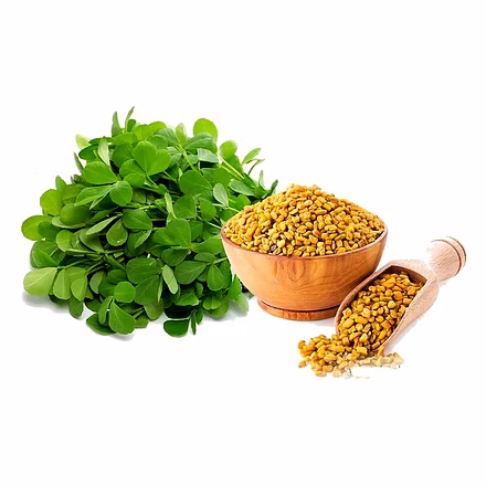 Fenugreek seeds-4