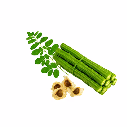 Moringa Leaf Powder-1