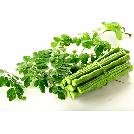 Moringa Leaf Powder-12741157