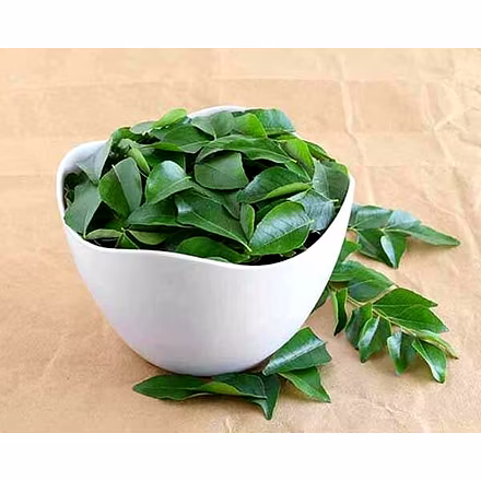 Curry Leaves and Powder-2
