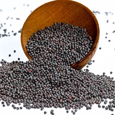 Mustard Seeds-2