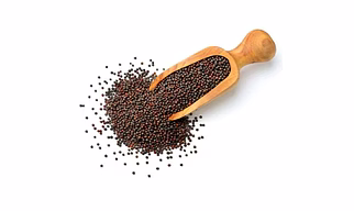 Mustard Seeds