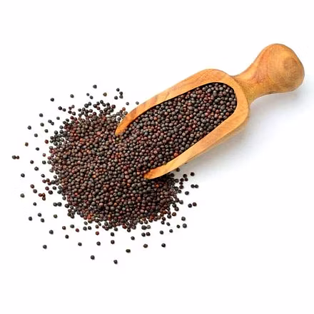 Mustard Seeds-1
