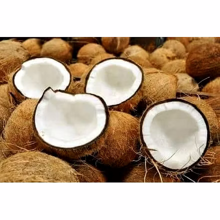 Coconut in all Forms-2