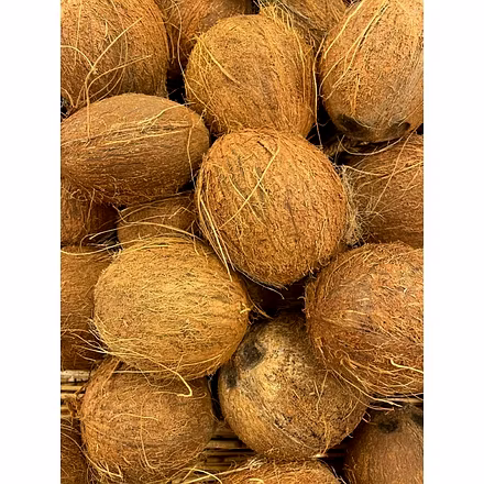 Coconut in all Forms-3