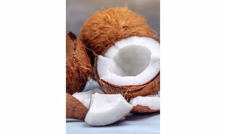 Coconut in all Forms