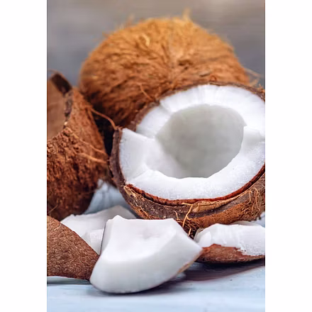 Coconut in all Forms-1