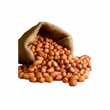Peanuts-12741415