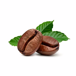 coffee beans robusta, arabica, liberica and excelsa