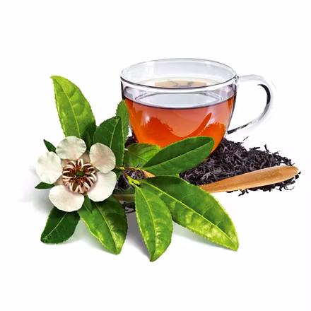 Dried Tea Leaves-12741477