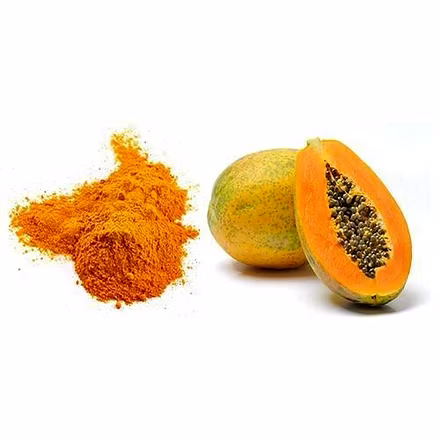 Papaya Fruit Powder-2