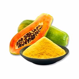 papaya fruit powder