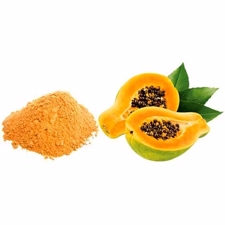 Papaya Fruit Powder-1