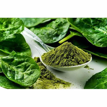 Spinach Powder-2