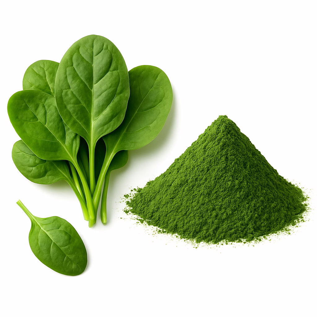 spinach powder