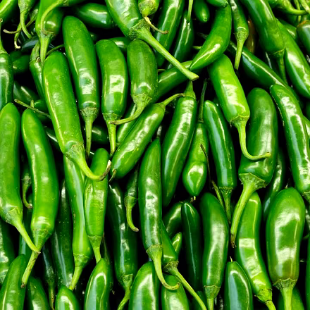 Fresh Green chilli-3
