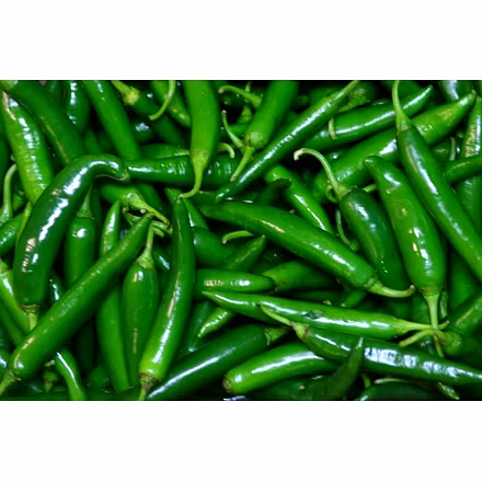 Fresh Green chilli-1