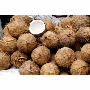 Fresh Coconut Semi husked
