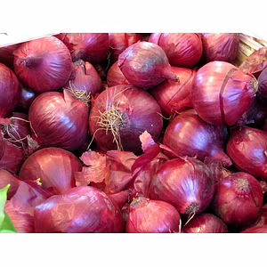 Pink Onion