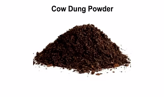 Organic Cow Manure