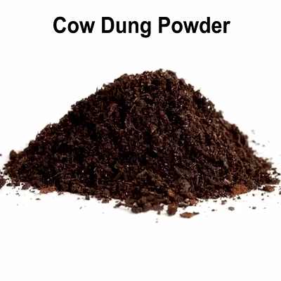 organic cow manure