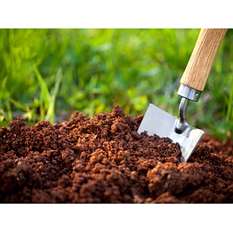 potting soil