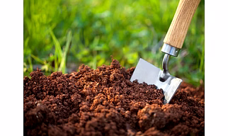 Potting soil