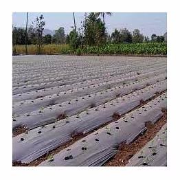compostable agricultural mulch film