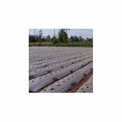 Compostable Agricultural Mulch Film-12740687