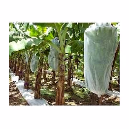 compostable crop covers