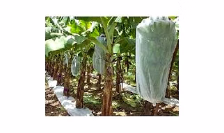 Compostable Crop Covers