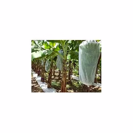 Compostable Crop Covers-12740697