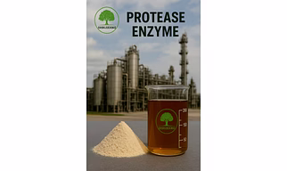 protease enzyme (Powder & LIquid)