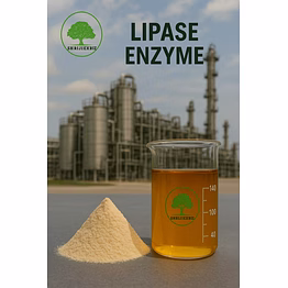lipase enzyme (powder & liquide )