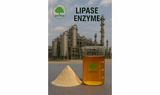 Lipase Enzyme (Powder & LIquide )