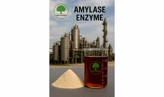 Amylase Enzyme (Powder & LIquide )