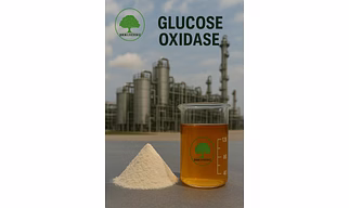 Glucose Oxidase enzyme (Powder & Liquid)