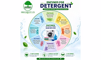 Detergent Enzymes  (Powder- Liquid- Granular)