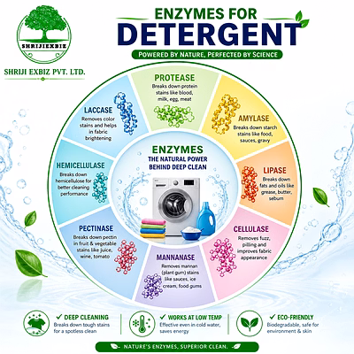 detergent enzymes (powder- liquid- granular)