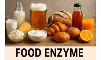 Food Enzyme