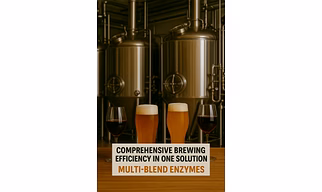 Brewing Enzyme